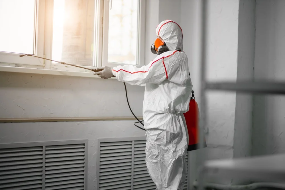 Professional mold remediation services in Woodlyn, PA